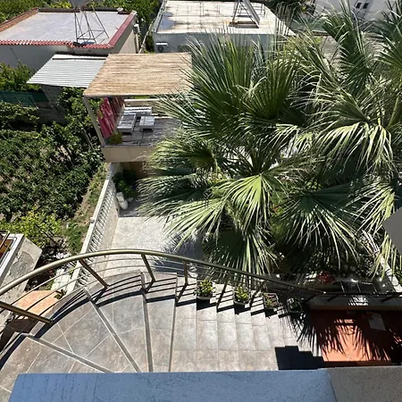 The Palm Luxury *